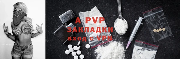 молекула духа Заводоуковск