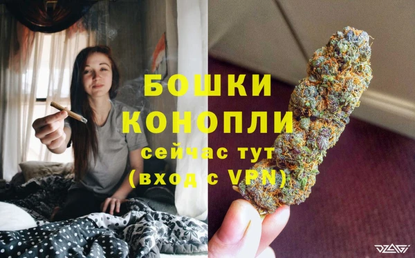 молекула духа Заводоуковск