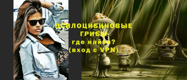 молекула духа Заводоуковск