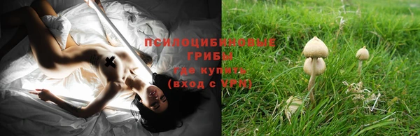 молекула духа Заводоуковск