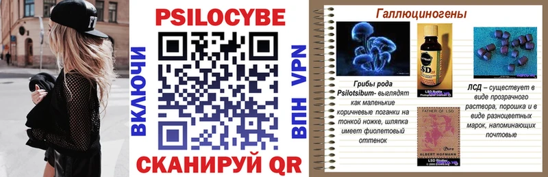 где купить   Ипатово  Псилоцибиновые грибы прущие грибы 