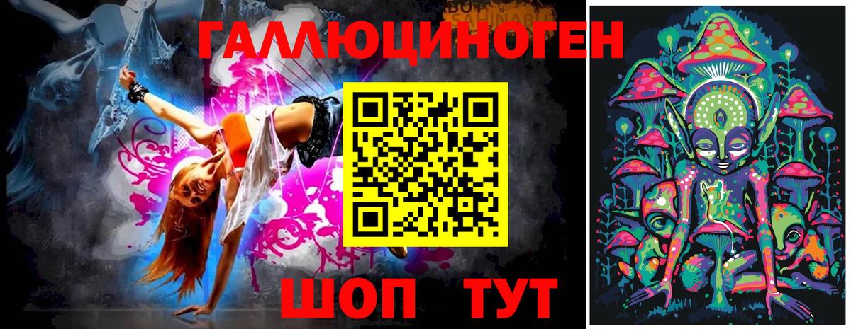 Псилоцибиновые грибы Psilocybe Ипатово