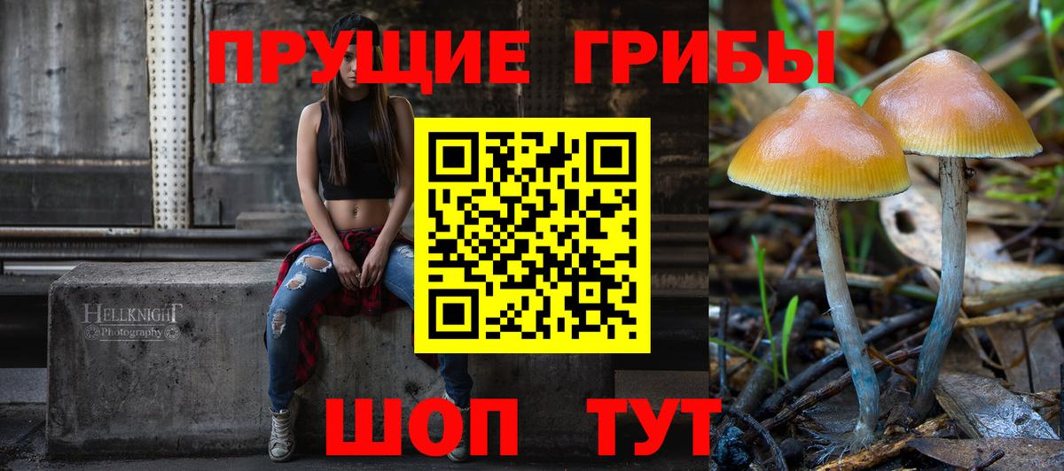 Псилоцибиновые грибы GOLDEN TEACHER  Псилоцибиновые грибы ЛСД  Вход с VPN  Ипатово 